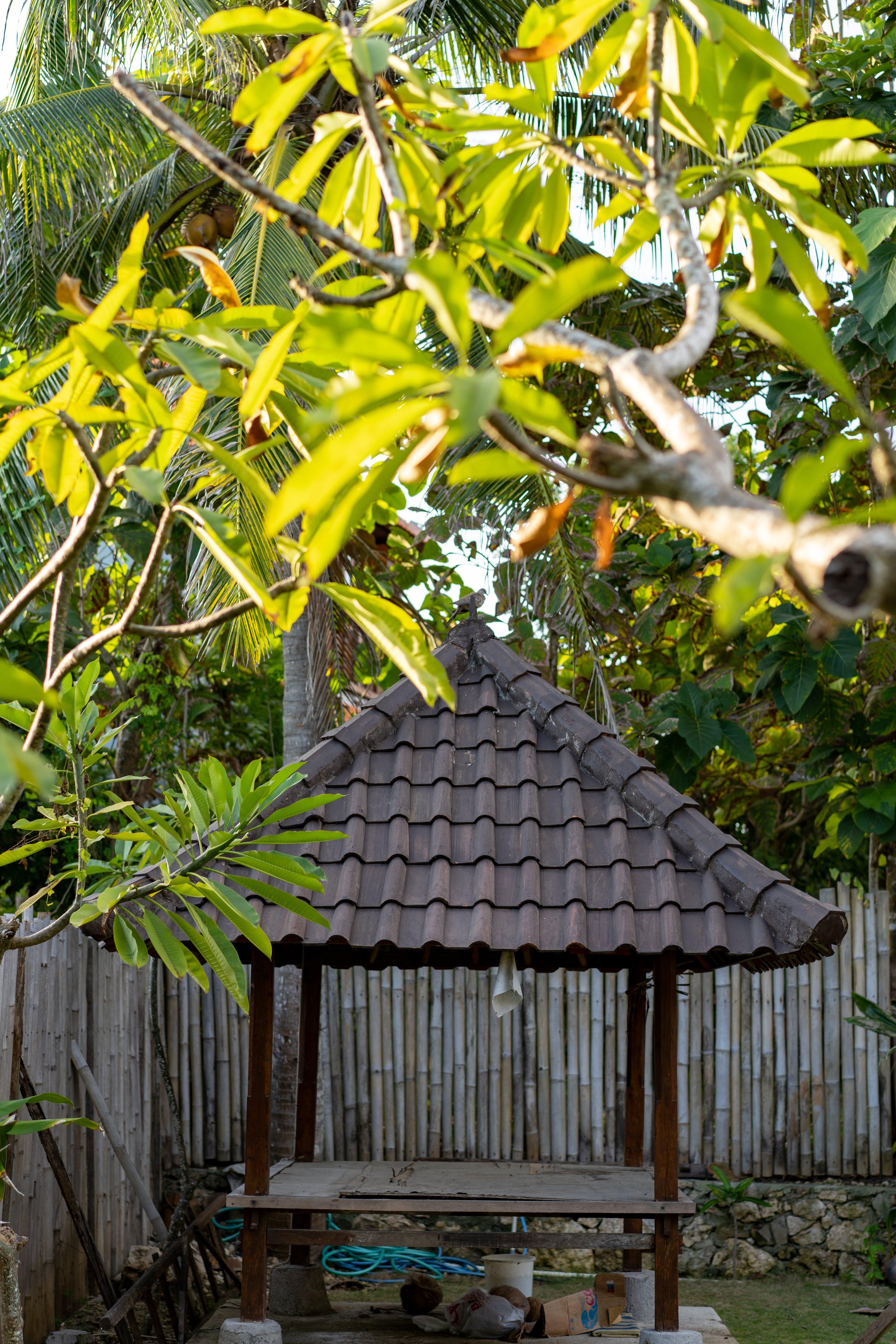 Pemuntalan Guesthouse Nusa Lembongan  Luaran gambar